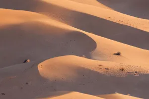 Dunes Sunset 4K
