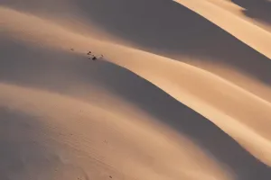 Desert Dunes 4K