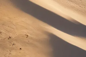 Desert Dune Panorama