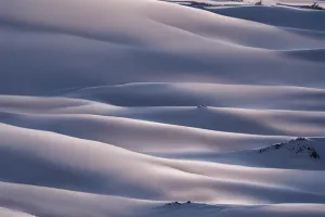 Moonlit Snowfield Under Stars