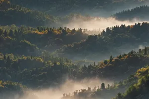 Forested Hills Under Morning Clouds