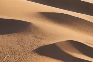 Infinite Desert Waveforms