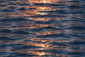 Quantum Ocean Horizon