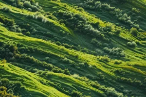 Sacred Spiral Valley