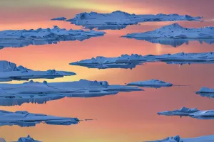 Polar Light Geometry