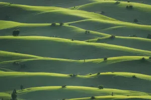 Emerald Fog Highlands