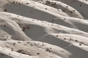 Silent Quartz Plains