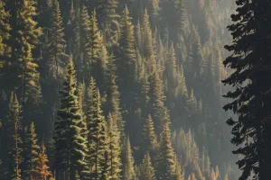 Cozy Forest Cabin Morning (iPhone Lock Screen)