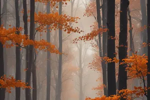 Soft Autumn Trees and Falling Leaves