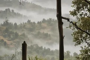 Misty Hills From a Quiet Porch