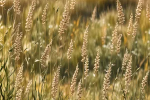 Soft Meadow Breeze (Minimal Lock Screen)