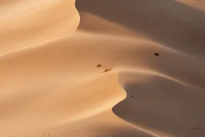 Golden Hour Desert Dunes – Cinematic Nature Wallpaper