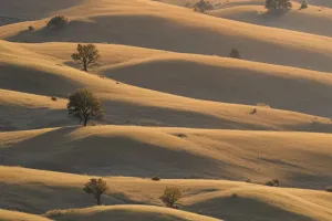 Cozy Foggy Hills at Dawn – 2026 Nature Wallpaper