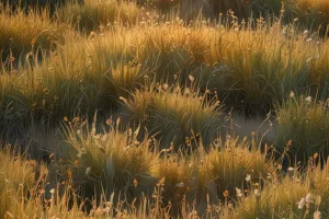 Golden Meadow Light Flow – Soft Cinematic Nature Wallpaper