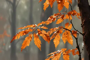 Soft Rain Over Autumn Forest – Cozy 2026 Wallpaper