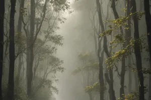 Evening Fog Forest Road – Cozy Cinematic Wallpaper