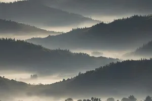 Soft Fogged Valley Layers – Luxury Nature Wallpaper