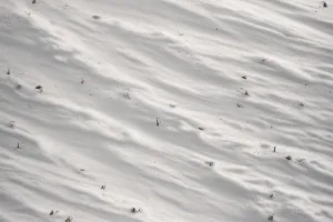 Soft Snow Field Silence – Winter Luxury Wallpaper