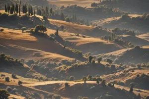 Mediterranean Olive Hills – Luxury Calm iPhone Wallpaper