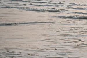 Ultra-Minimal Sea Horizon – Luxury iPhone Lock Screen