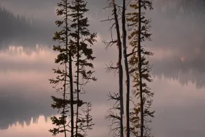 Calm Lake Reflection Dawn