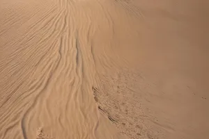 Desert Dunes at Dusk