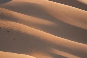 Desert Dunes at Golden Hour