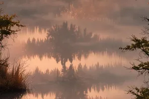 Foggy Lake at First Light