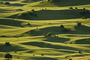 Rolling Hills Under Soft Clouds