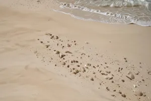 Tropical Beach Overcast Calm